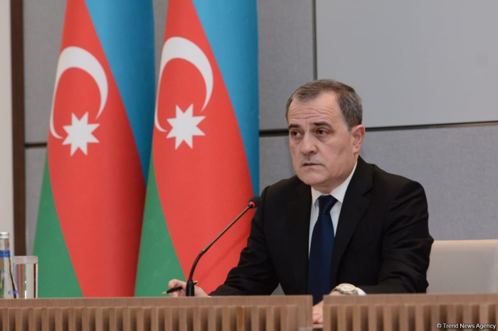 Foreign minister comments on activity of French company in Azerbaijan