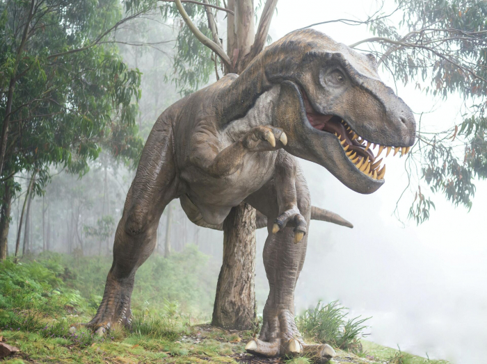       Araşdırma:    Dinozavrlar olmasaydı insan yüz ildən çox yaşaya bilərdi     
