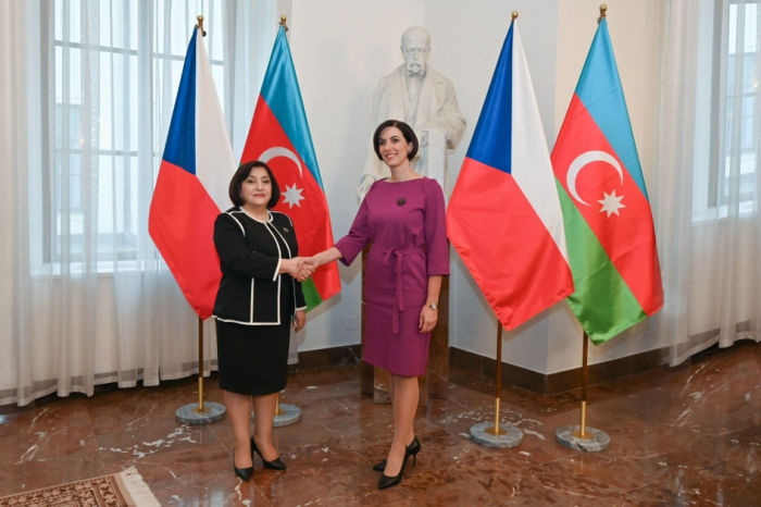   Azerbaijani parliament speaker briefs Czech colleague on anti-terrorist measures carried out in Karabakh  
