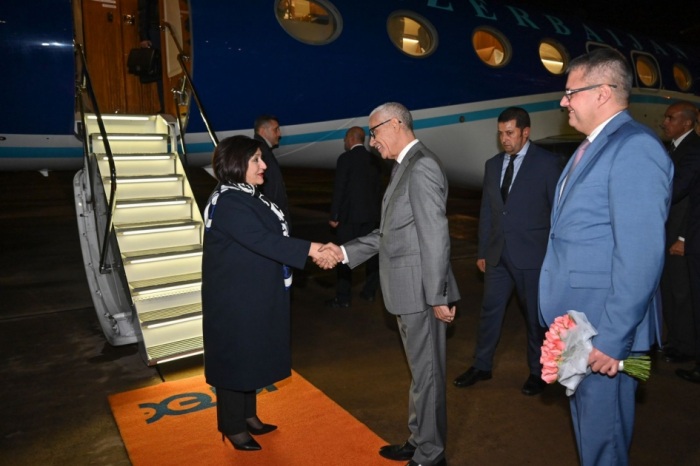   Azerbaijani Parliament speaker visits Morocco  