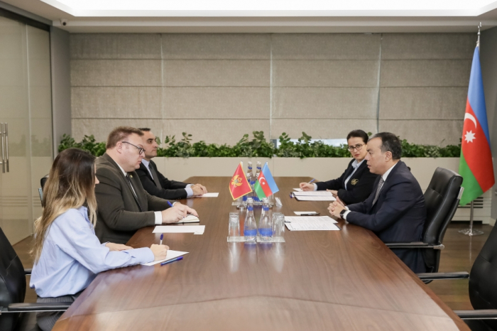 Azerbaijan, Montenegro mull prospects for future cooperation