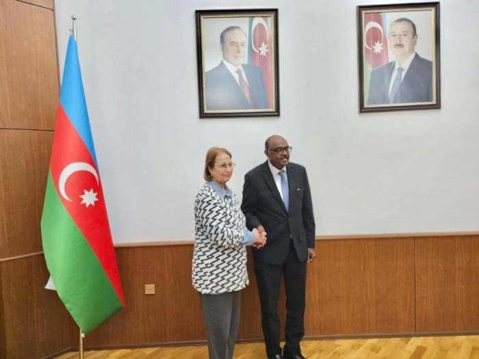 Azerbaijan, OIC to expand cooperation in humanitarian field