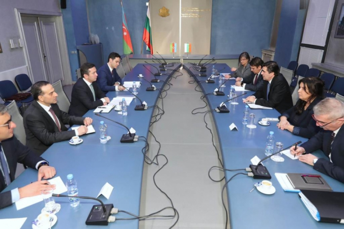 Azerbaijani, Bulgarian foreign ministries hold political consultations