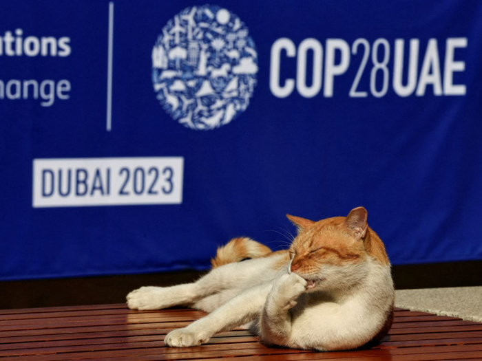 La présidence de la COP28 dit vouloir que les énergies fossiles figurent dans le texte final