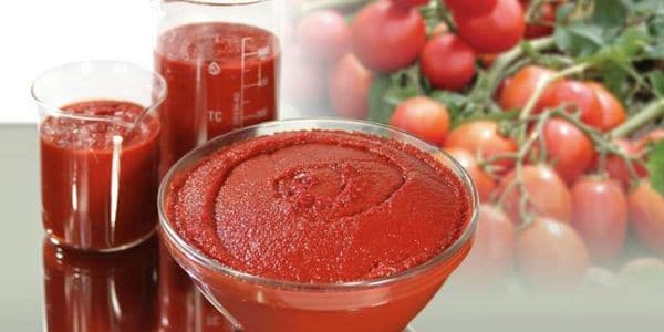 Azərbaycan    140,5 milyon dollar    dəyərində tomat ixrac edib