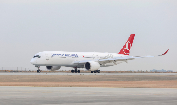 Turkish Airlines suspends operation of 5 Boeing 737 MAX 9 planes for inspection