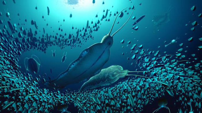 Schreckenswurm beherrschte die Urzeit-Meere