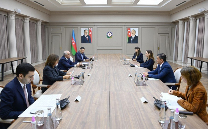 Azerbaijani Prime Minister meets with UNICEF Regional Director