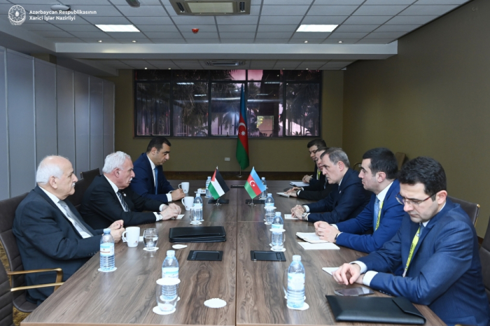 Azerbaijani, Palestinian FMs discuss Gaza situation