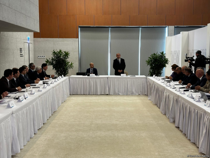 Zangilan hosts meeting og Azerbaijani working group on environmental issues