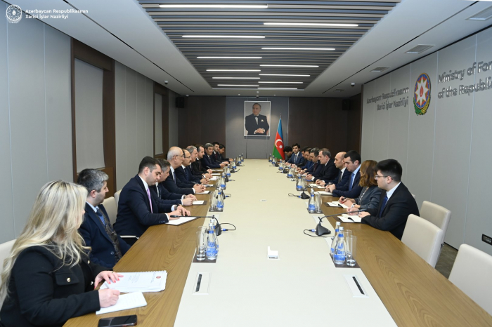 Azerbaijani FM discusses strategic partnership with Turkish MP