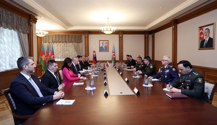   Azerbaijani, Slovak defense ministers meet in Baku  