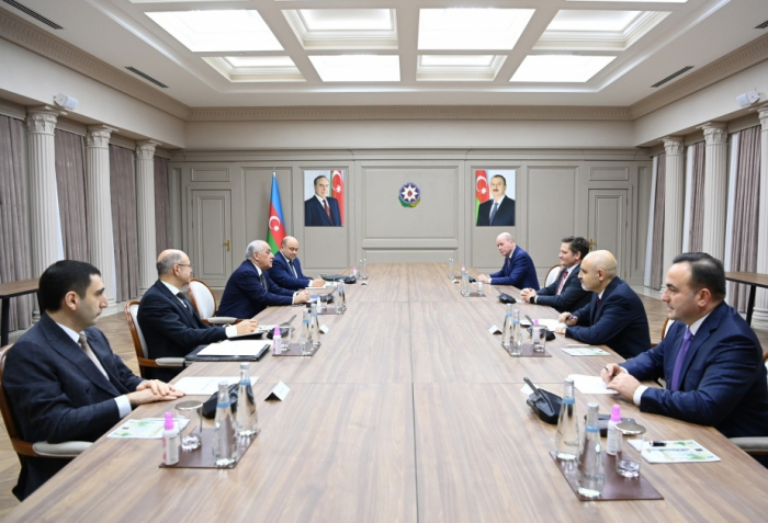 Azerbaijani prime minister meets bp vice president