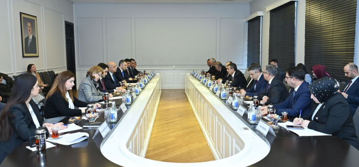 Azerbaijan, Türkiye discuss prospects for educational cooperation