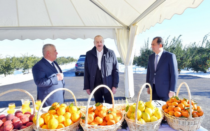    Prezident Lənkərana gedib -  YENİLƏNİB    