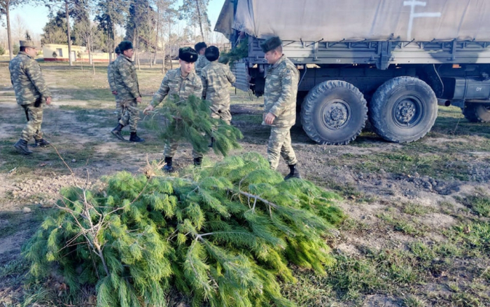 Azerbaijan Army holds tree-planting campaigns