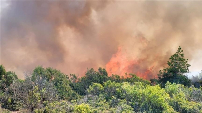 Colombie : Des incendies de forêt menacent de ravager de vastes étendues du pays