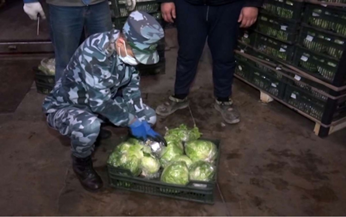    İrandan Rusiyaya kahı formasında narkotik aparmaq istədi-    Video     
   