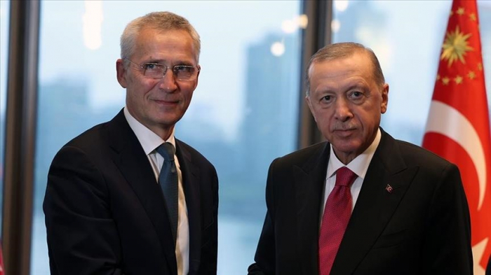 Erdogan et Stoltenberg discutent de l