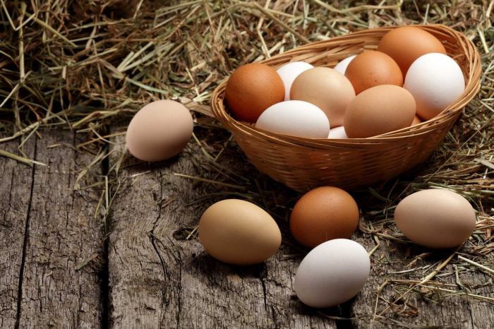 Azərbaycan Rusiyaya daha bir partiya yumurta tədarük edib