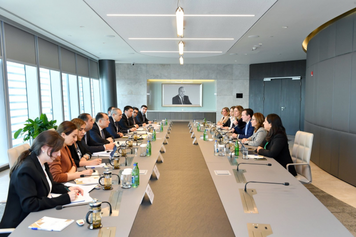   Aserbaidschan und IFC diskutieren über eine Ausweitung des Kooperationsumfangs im Rahmen der COP29  