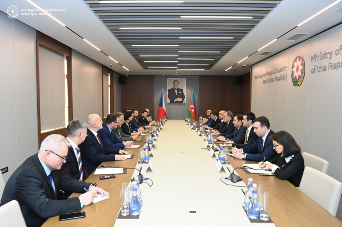   Aserbaidschanischer Außenminister und hochrangiger tschechischer Beamter diskutieren über bilaterale Beziehungen  