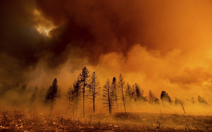   Zahl der Opfer von Waldbränden in Chile hat 112 Menschen erreicht  