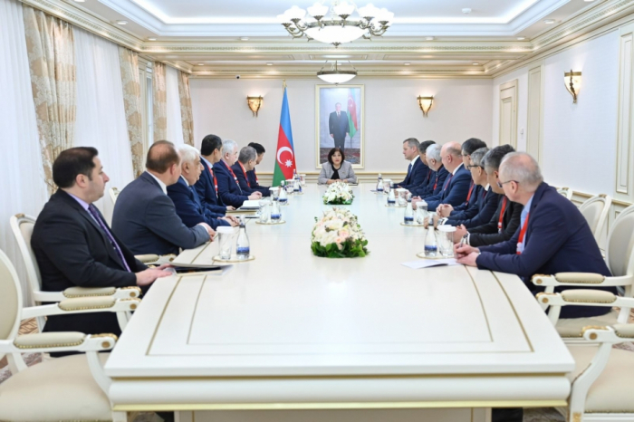 Speaker of Azerbaijan’s Milli Majlis meets with several members of international parliamentary institutions