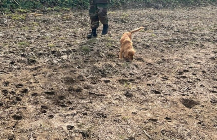 45 gündür itən uşağın axtarışları davam edir