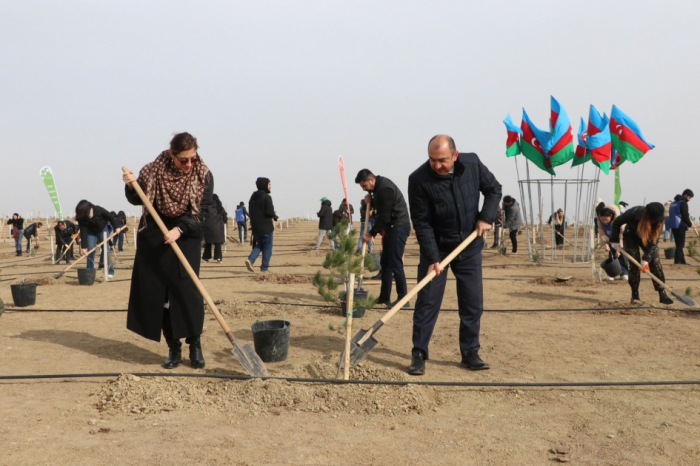 Global Media Group organizes tree planting campaign as part of Green World Solidarity Year