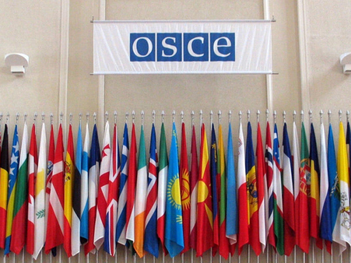   Aserbaidschanische Abgeordnete werden an der Wintersitzung der OSZE PV teilnehmen  