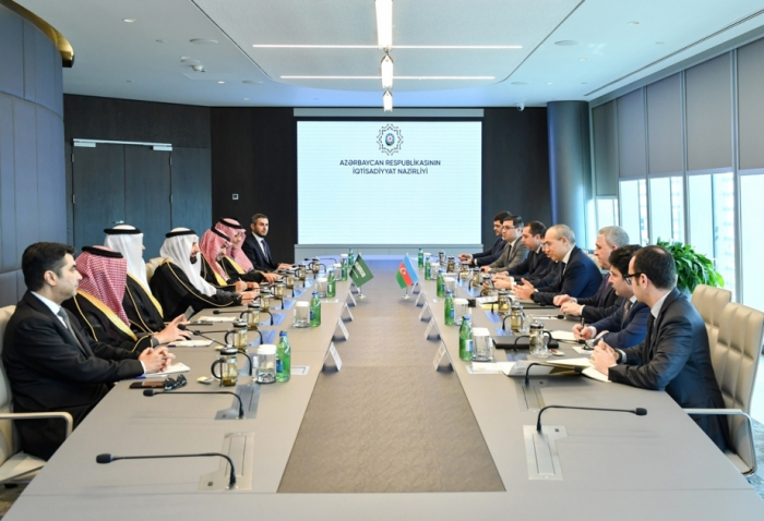 Azerbaijan, Saudi Arabia discuss tourism cooperation