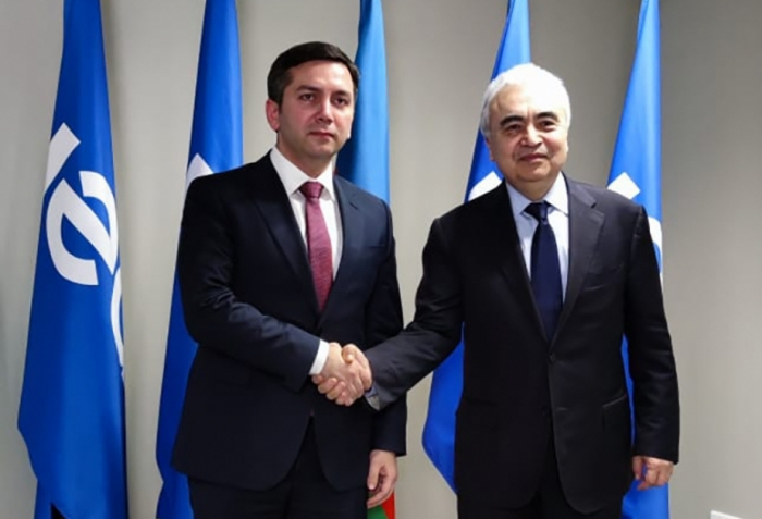 Azerbaijan’s Deputy FM, IEA Executive Director discuss potential cooperation within framework of COP29 