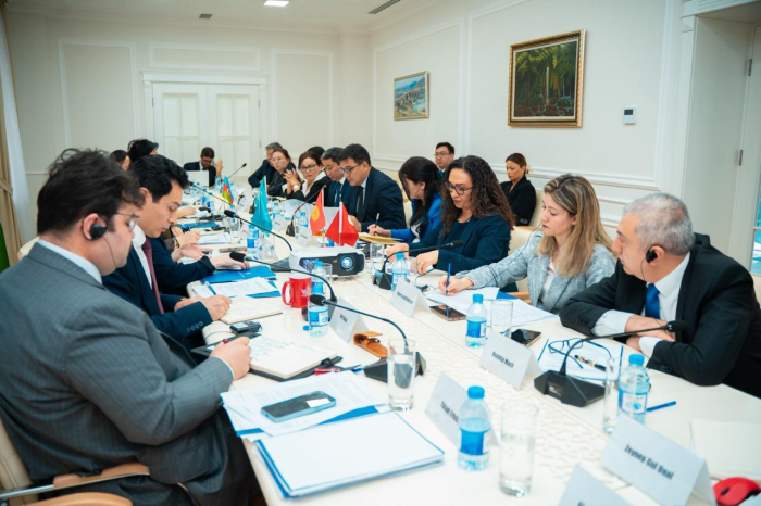 Turkic Culture and Heritage Foundation holds meeting on development of Turkic Cultural Heritage Convention