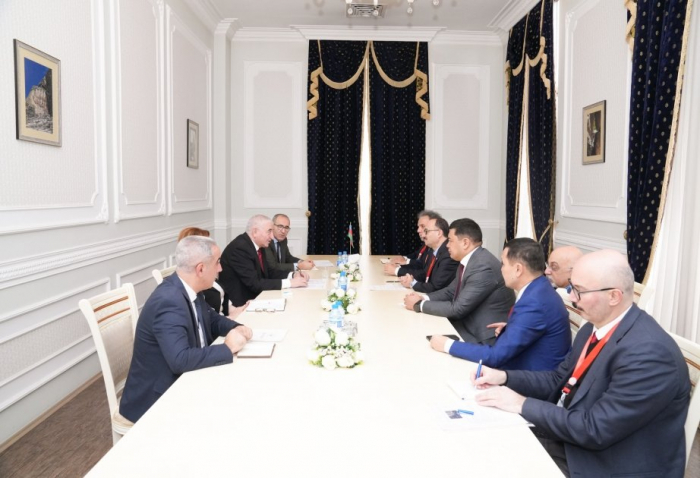   CEC of Azerbaijan holds meeting with TURKPA delegation  