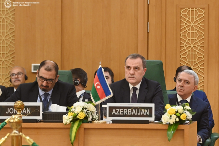   Canciller: "Azerbaiyán se esfuerza por eliminar las consecuencias humanitarias del conflicto palestino-israelí"  