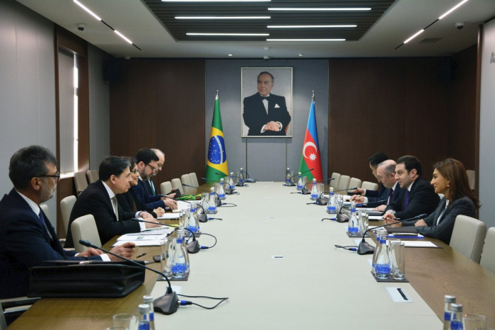Azerbaijani and Brazilian MFAs hold political consultations