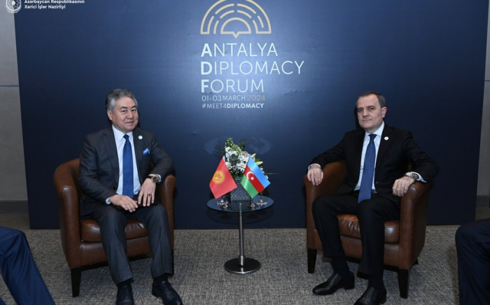 Azerbaijani, Kyrgyz FMs meet in Antalya