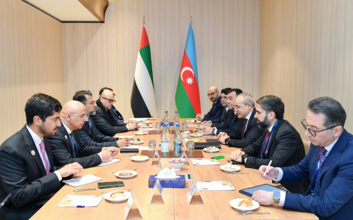  Aserbaidschan hat mit den VAE über Investitionsmöglichkeiten in „grüne Energie“ gesprochen 