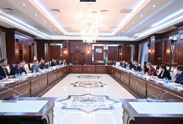 Representantes del Bundestag alemán visitan el Parlamento de Azerbaiyán