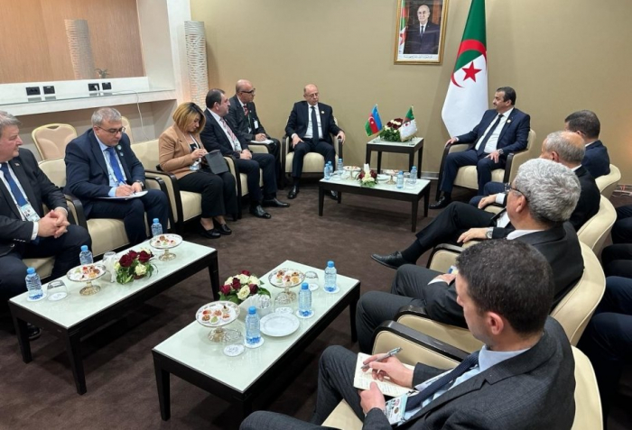   Minister Aserbaidschans und Algeriens besprachen die Zusammenarbeit im Energiesektor  