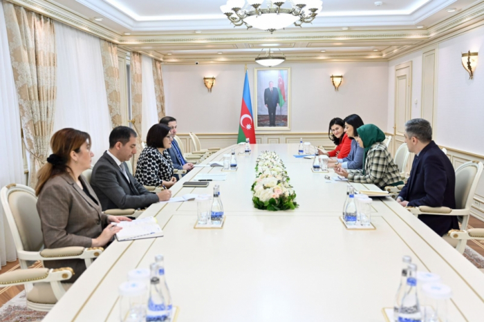 Speaker Gafarova meets with UNICEF Representative in Azerbaijan to discuss child rights