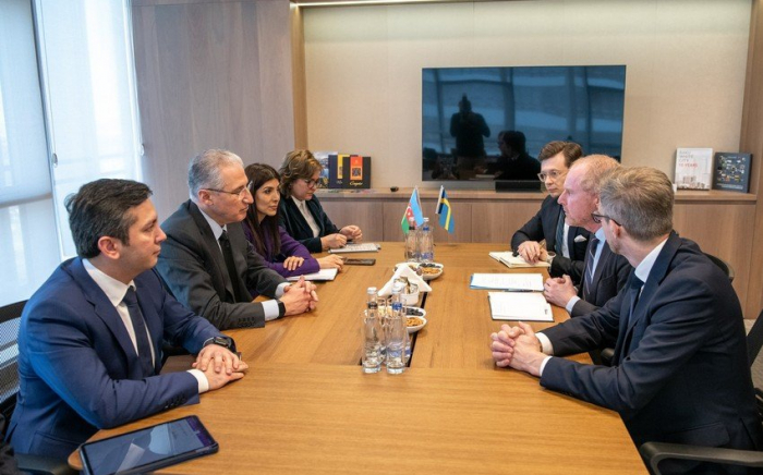   Präsident der COP29 führt Gespräche mit dem Leiter der schwedischen Delegation  