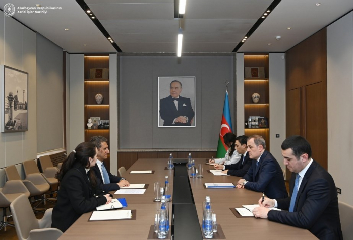 Azerbaijani FM meets with Director General of IRENA 