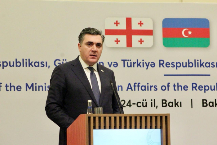     Georgischer Außenminister:   Georgien steht für die Sicherung des Friedens in der Region  