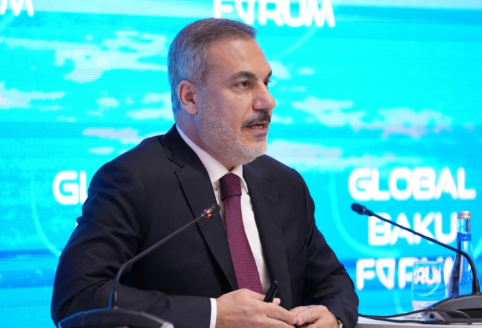   Fidan:  "Azərbaycan Cənubi Qafqazın parlaq ulduzudur" 