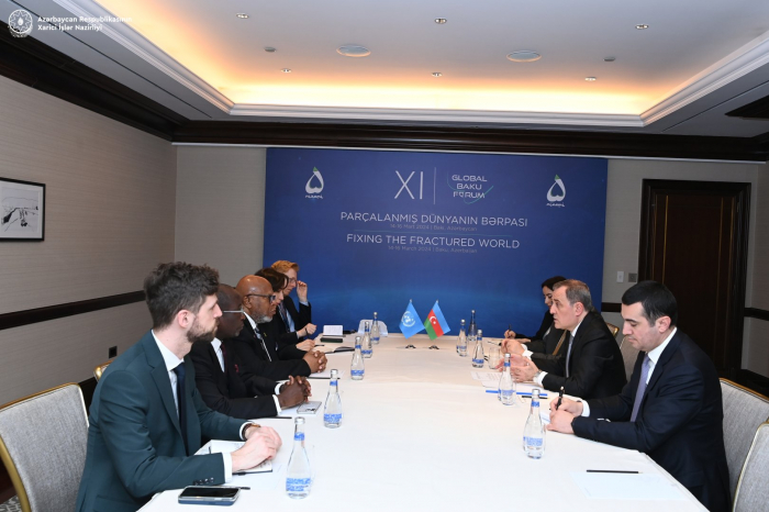   Azerbaijani FM meets with Chairman of 78th session of UN General Assembly  