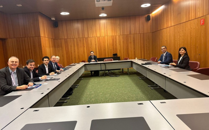 Azerbaijani MPs discuss sustainability and regional issues with British counterparts