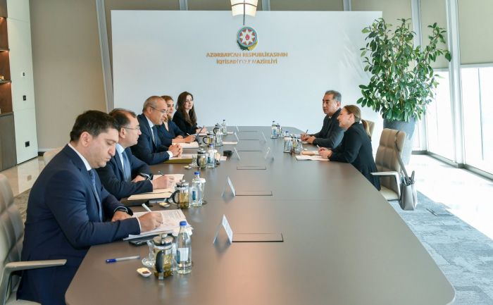 Azerbaijan, UNDP discuss co-op opportunities within COP29