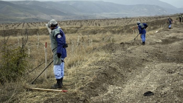  371 UXOs neutralized in liberated Azerbaijani territories over past week: ANAMA 